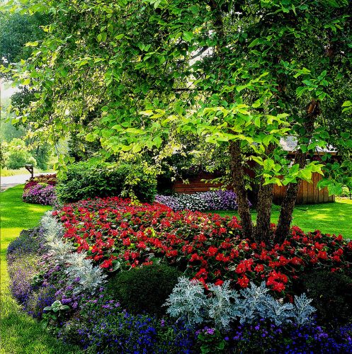 VC Master Gardeners: Creating a Shade Garden @ Agriculture Museum | Santa Paula | California | United States