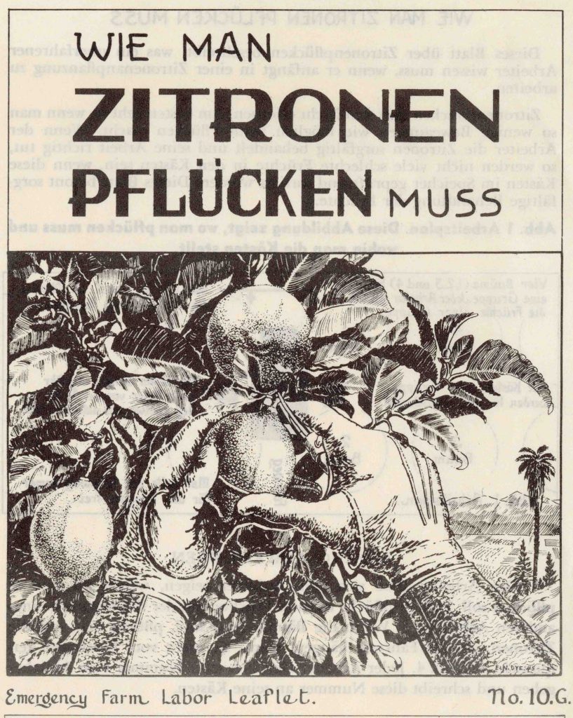 Photo of Flyer Cover – Wie Man Zitronen Pflücken Muss