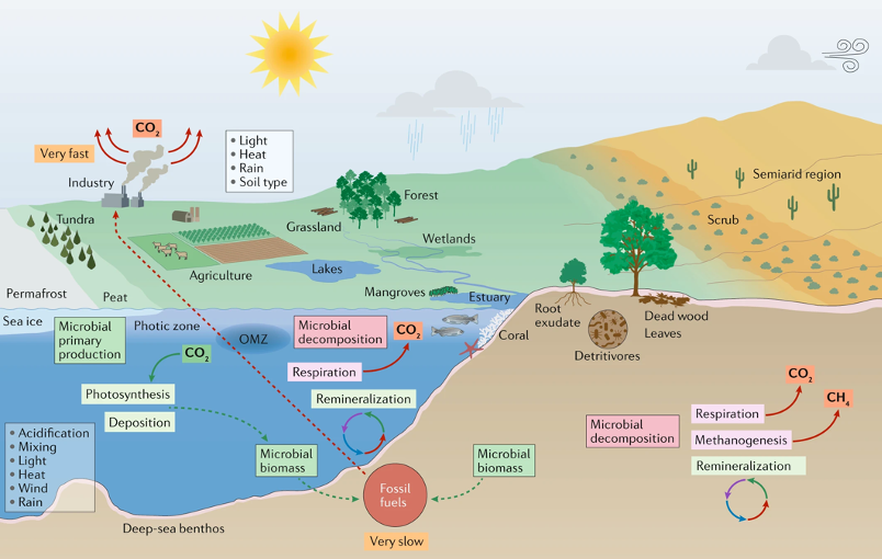 School Learning Zone - The Mediterranean