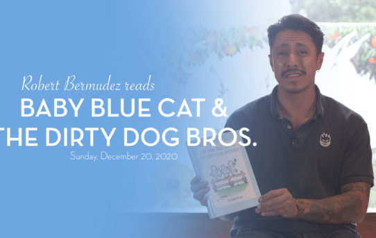 Robert Bermudez: Baby Blue Cat & The Dirty Dog Brothers