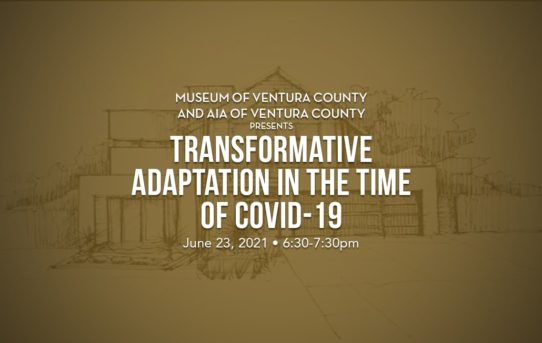 Transformative Adaptation in the Time of COVID-19