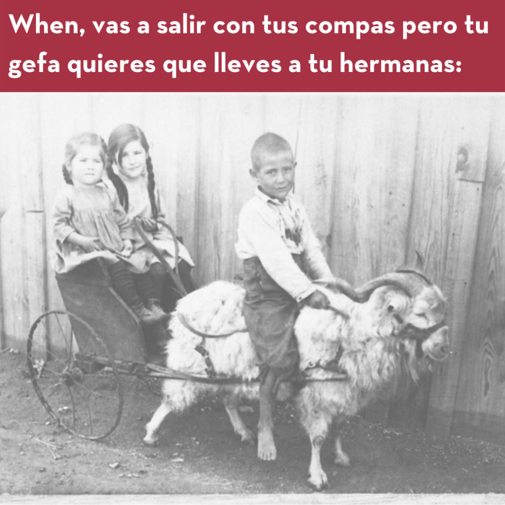 vintage photo of kids, one riding a goat pulling two girls in a wagon with the caption in Spanish 'When, vas a salir con tus compras pero tu gefa quieres que lleves a tu hermanas' translated in English 'When you want to go out with your
friends, but your mom makes you take your sisters.'