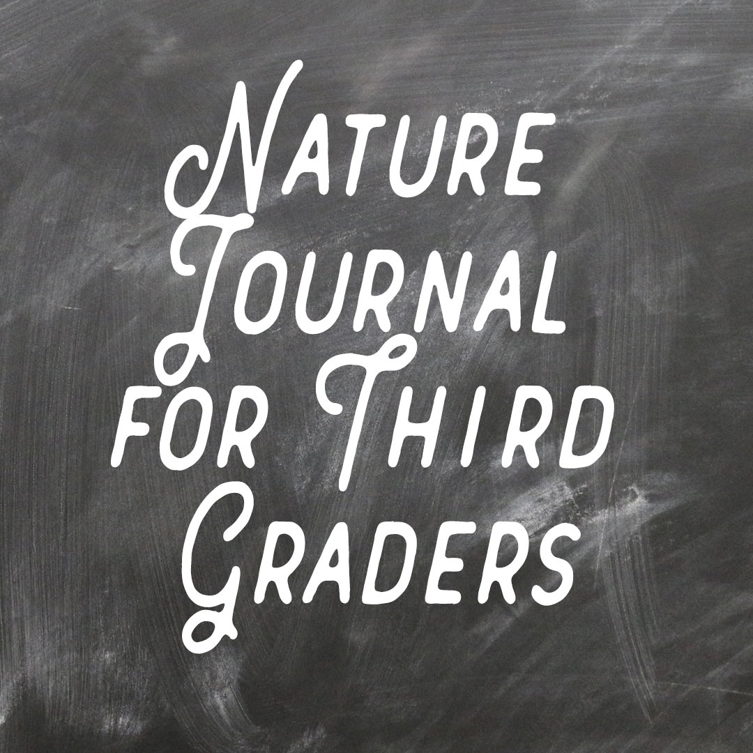 Nature Journal for Third Graders