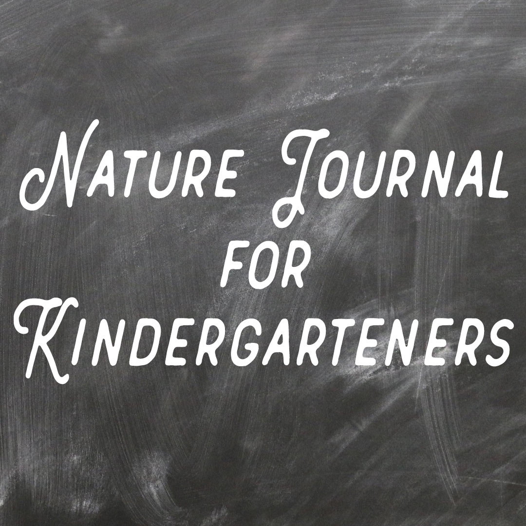 Nature Journal for Kindergarteners