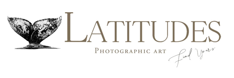 Latitudes logo