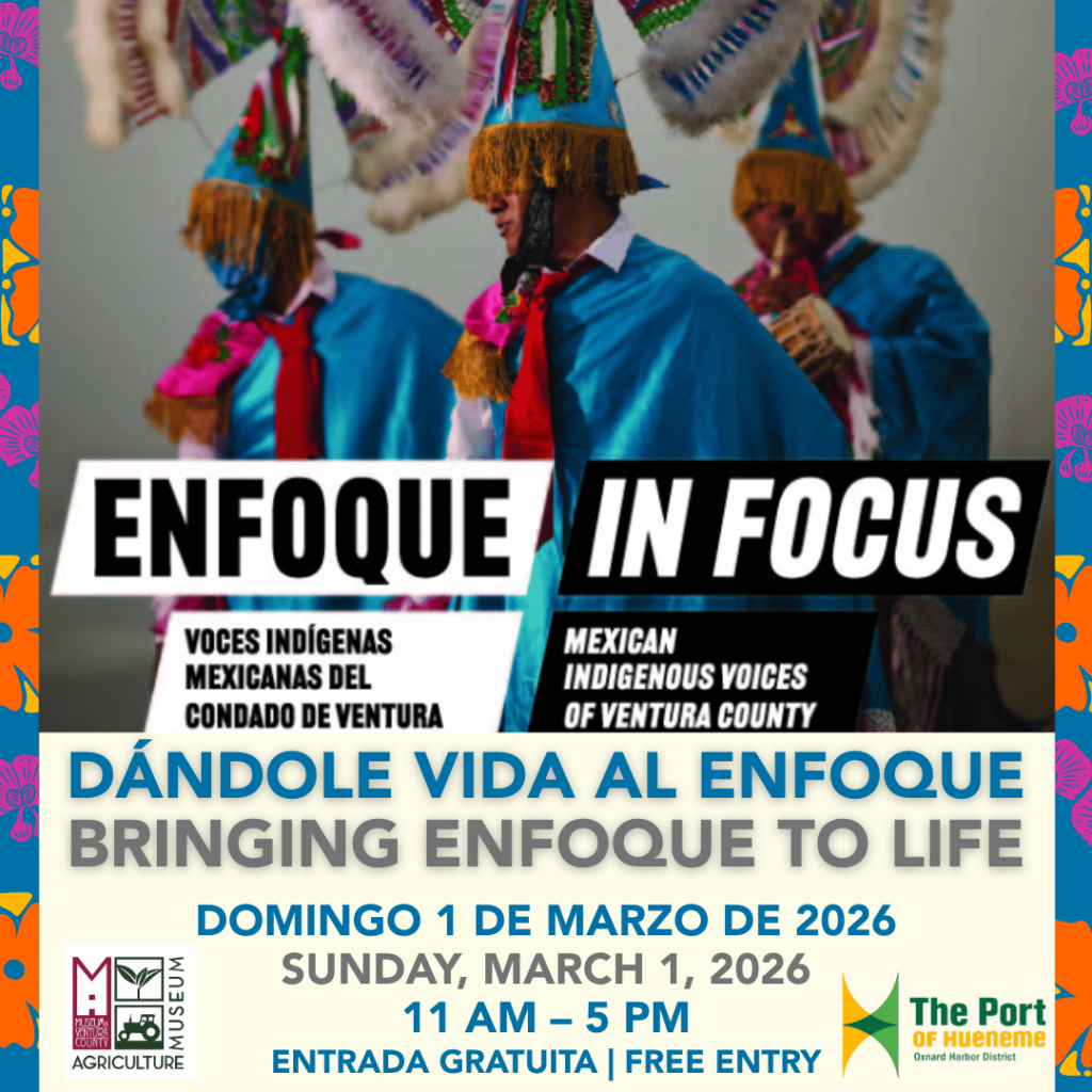 Dando Vida a Enfoque - Bringing Enfoque to Life
