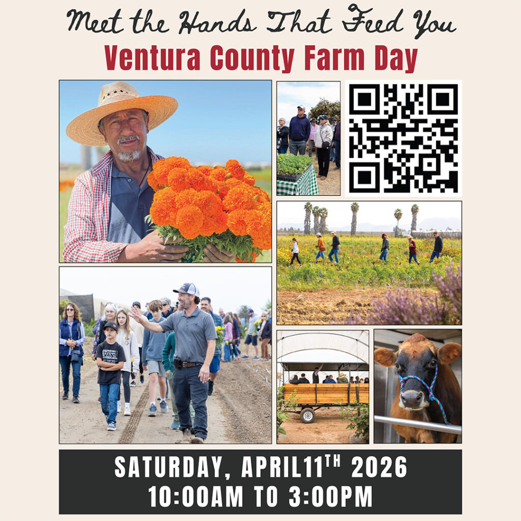 VC Farm Day