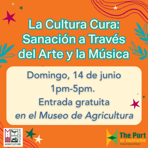 La Cultura Cura: Sanación a Través del Arte y la Música
