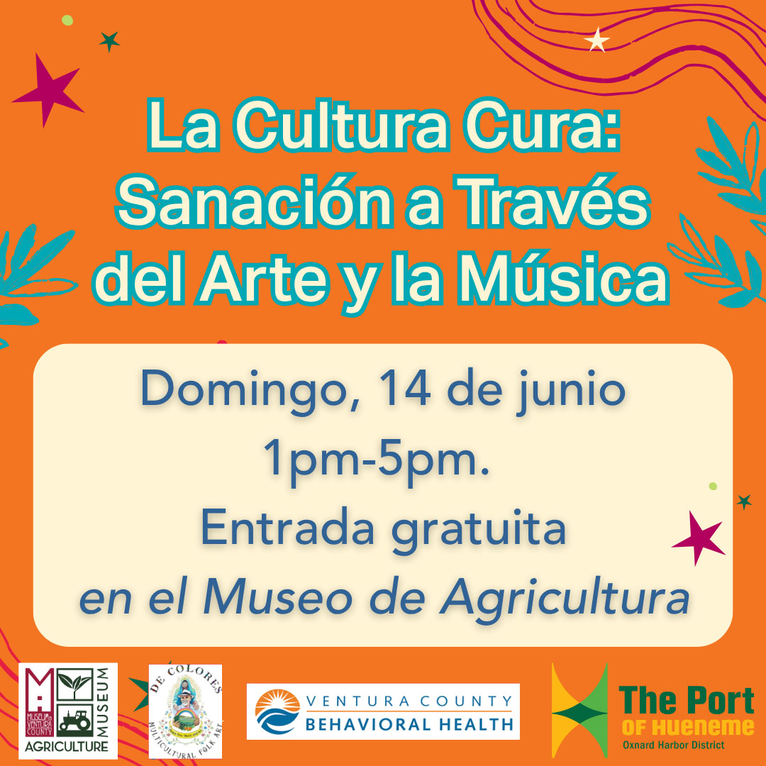 La Cultura Cura: Sanación a Través del Arte y la Música