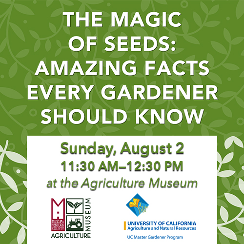 The Magic of Seeds