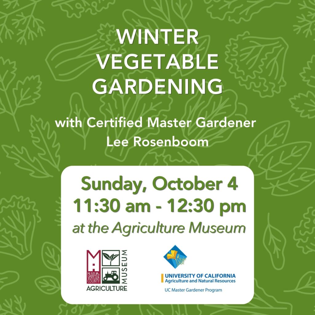Winter Vegetable Gardening